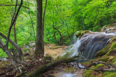 Beusnita dere, Romanya 