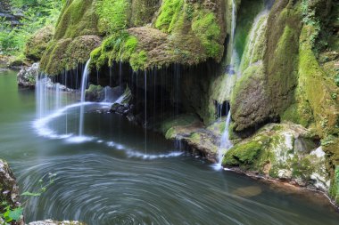 nera beusnita gorges milli park, Romanya bigar art arda düşüyor