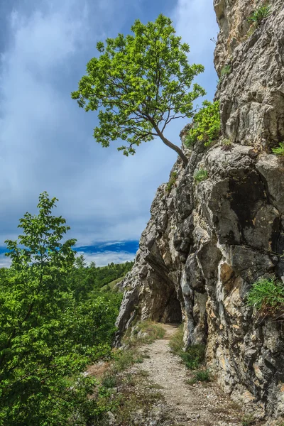 Gorge national park nerei-beusnita, Rumänien — Stockfoto