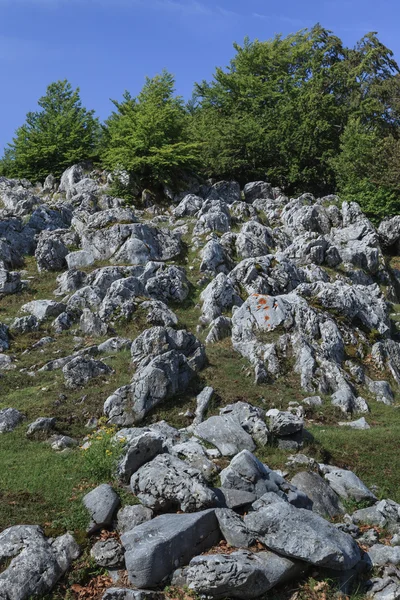 Pohoří Mehedinti, Rumunsko — Stock fotografie