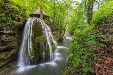 nera beusnita gorges milli park, Romanya bigar art arda düşüyor