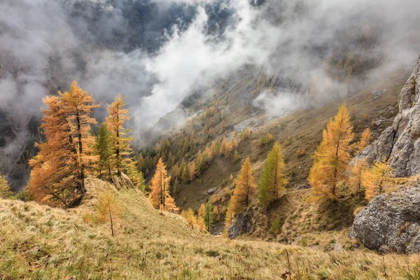 Mountain valley, Bucegi Mountains, Roménia — Fotografia de Stock