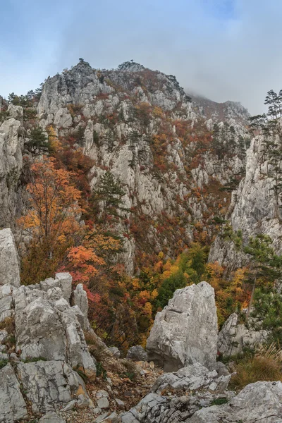 Tasnei gorge, Roemenië — Stockfoto