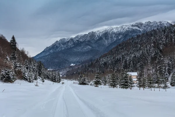 Rustic road in winter — Stock Photo, Image