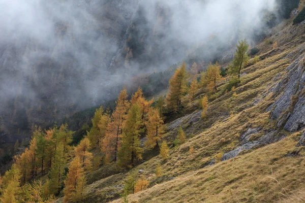 Valle di montagna nei monti Bucegi Romania — Foto Stock