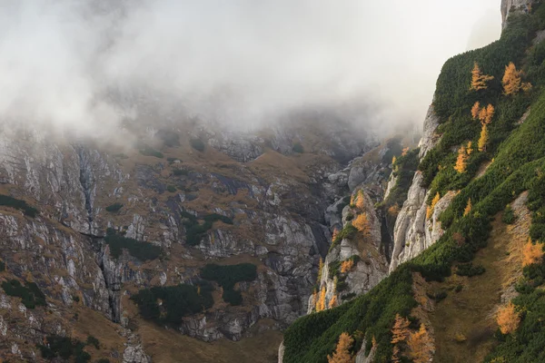 Vale da montanha nas Montanhas Bucegi, Roménia — Fotografia de Stock