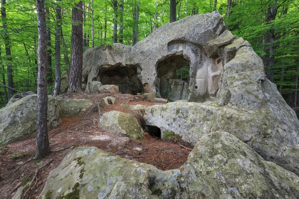 Hermitage Agatonul Nou v 1587 — Stock fotografie