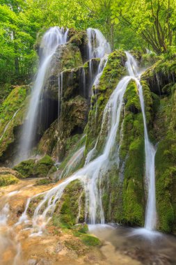 Beusnita şelale beusnita Ulusal Park, Romanya