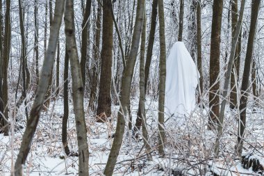 Ormandaki karlı dallar arasında hayalet figürü.