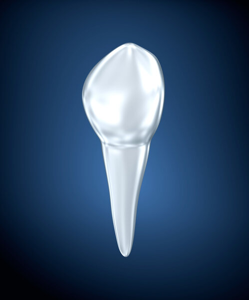 Tooth on a blue background