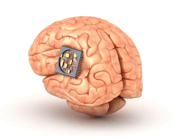 Mänskliga hjärnan med datorchip — Stockfoto