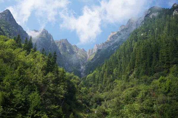 Sunny morning in the Romania mountains — Stock Photo, Image