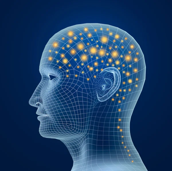 Beyin ve Bakliyat. insan düşünce süreci — Stok fotoğraf