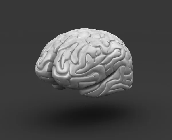 Людський мозок на чорному тлі — стокове фото