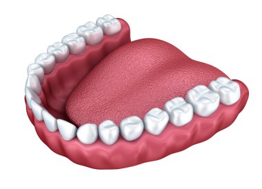 3d açık takma diş üzerinde beyaz izole