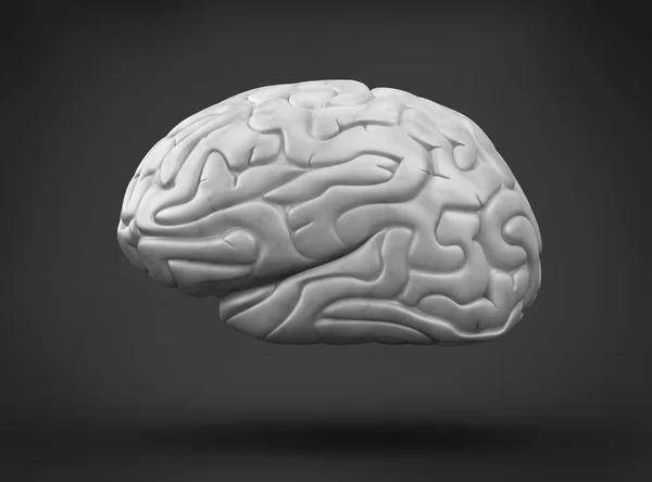 Human brain on black background — Stock Photo, Image