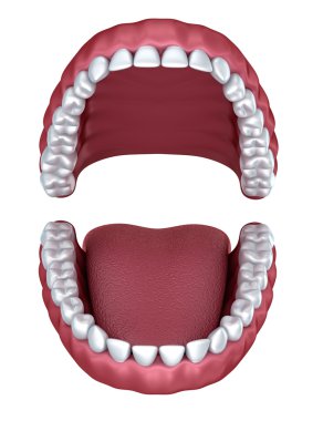 3d açık takma diş üzerinde beyaz izole