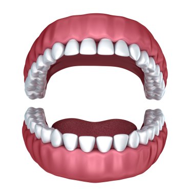 3d açık takma diş üzerinde beyaz izole