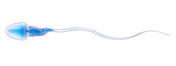 Beyaz bitti izole sperm illüstrasyon — Stok fotoğraf