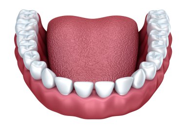 İnsan takma diş 3d görüntü, beyaz izole