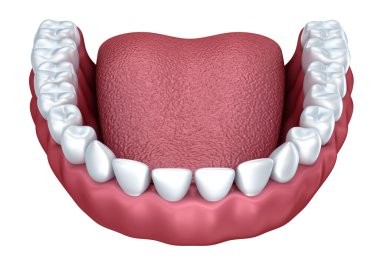 Human denture 3D image, isolated on white clipart