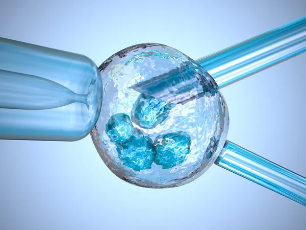 Inseminación artificial: aguja de vidrio fertilizando un óvulo femenino —  Fotos de Stock