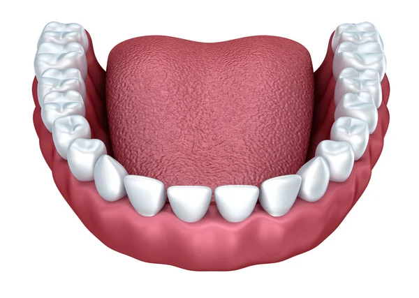 人間義歯 3 d イメージ、白で隔離 — ストック写真