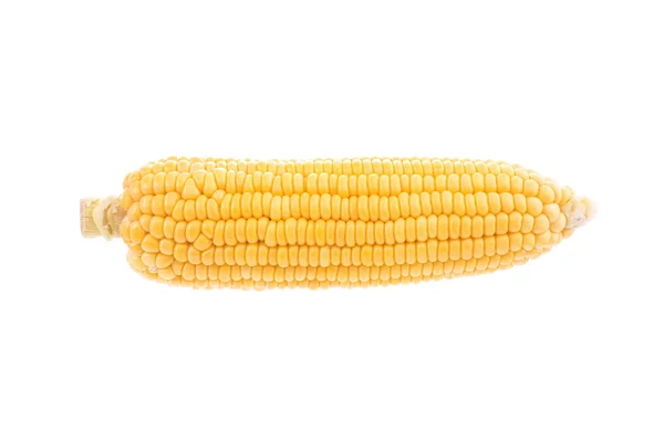 Corn cob isolated on white background with. — Stock Photo, Image