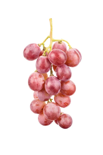 Red grapes isolated on white background. — Stock Photo, Image