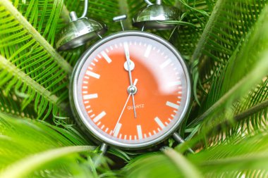 Alarm clock on the green leaves background