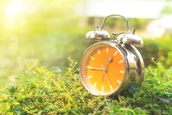 Alarm clock in sunlit on background spring field green and yello — Stock Photo, Image