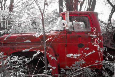 Bu makinenin daha iyi günleri olmuştu. Kırklı yaşlarda olmalı. Hayat çok zor. Uzun bir süredir kullanılmamaktaydı. Ulverton, Quebec, Kanada; 11 Ekim 2020.