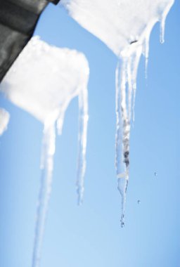 Bulanık arkaplanı olan bir damlacığın resmini kapat.
