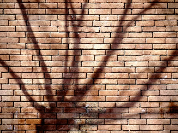 A brick wall background with a black tree shadow.