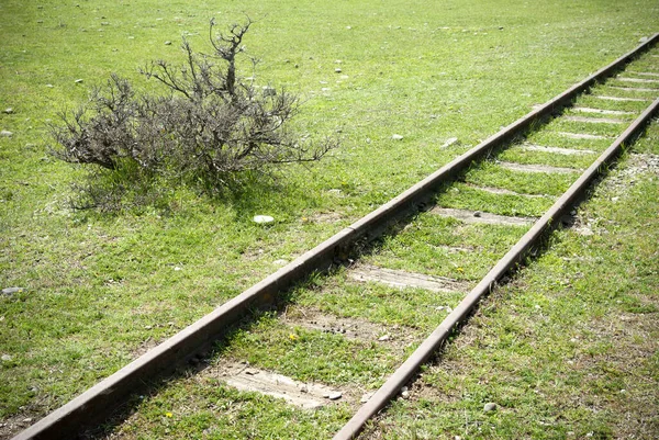 緑の芝生に囲まれた放棄されたカッコウ鉄道 壊れたカッコウ鉄道 — ストック写真