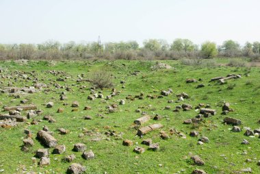Atık inşaat malzemesi parçaları. Yeşil çimlerde taş parçaları.