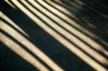 Parlak güneş ışığı ve yol üzerindeki koyu siyah gölgeler. Asfalt yolda gölge çizgileri.