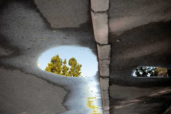 Omgekeerd Zicht Een Natte Asfaltweg Met Een Boomreflectie Een Plas — Stockfoto