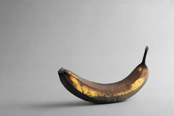 Une Banane Pourrie Sur Fond Gris Avec Espace Copie Vide — Photo