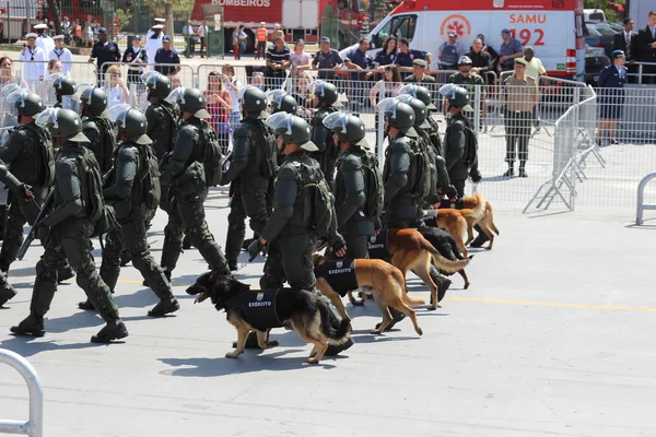 Soldados marchando em parada militar em 2014 no Brasil — Fotografia de Stock