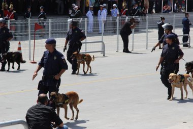 Brezilya'nın bağımsızlığını kutlamada parading askerler