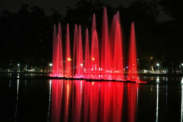 Ibirapuera Park az éjszaka — Stock Fotó