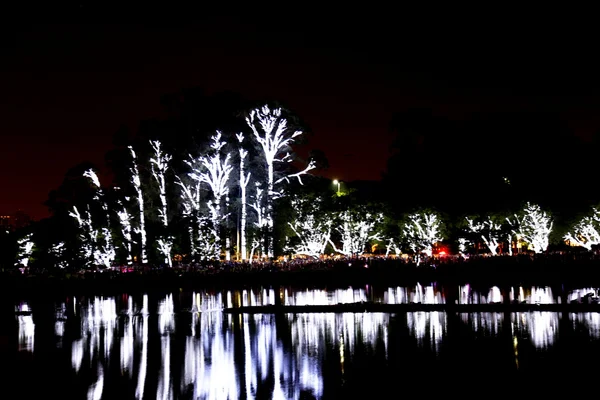 Verlichte bomen — Stockfoto