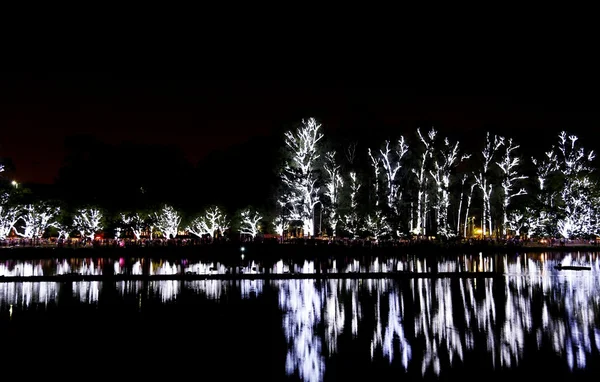 Lit trees — Stock Photo, Image