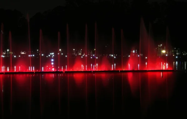 Parco Ibirapuera la notte — Foto Stock