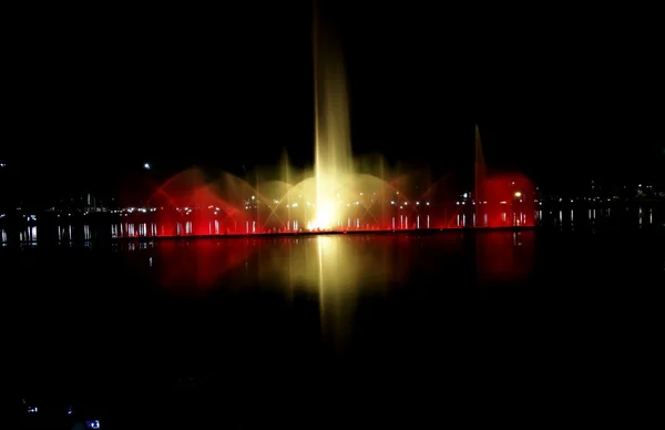 Ibirapuera Park natten – stockfoto