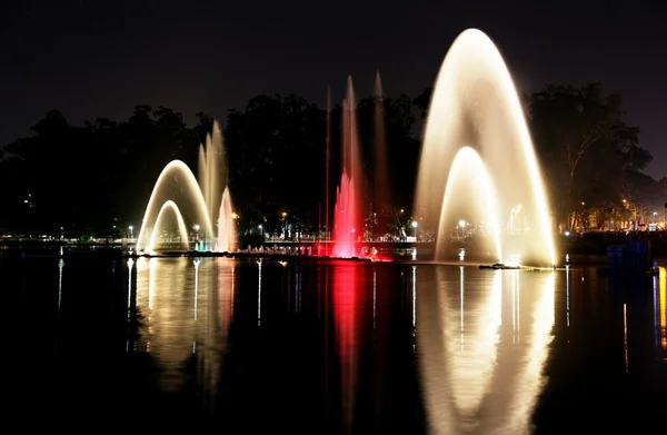 Ibirapuera Park az éjszaka — Stock Fotó