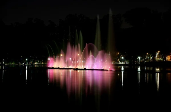 Ibirapuera Park az éjszaka — Stock Fotó
