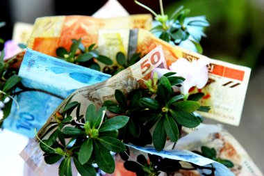 Brezilya'nın para birimi notları ile dekore edilmiş olan küçük ağaç