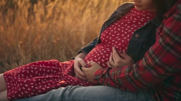 Gelukkige zwangerschap: jong paar aanstaande ouders knuffelen in het gras. — Stockvideo